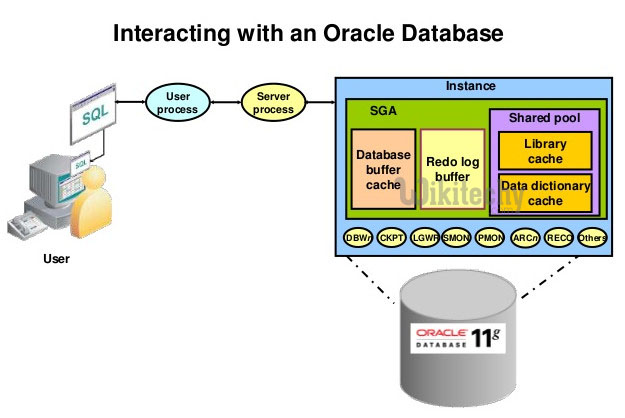 Oracle Database Access Flow